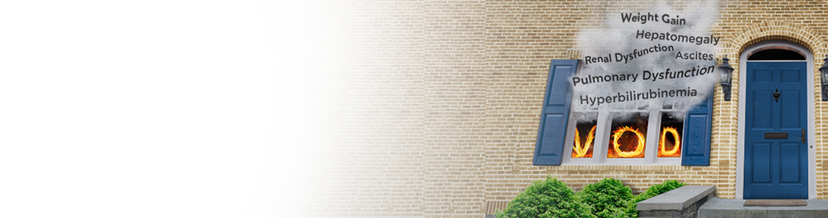 Defitelio (defibrotide sodium) injection 80 mg/mL for VOD