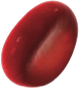 red blood cell